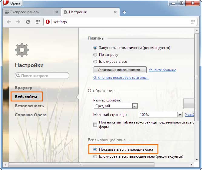 Настройка Opera 2